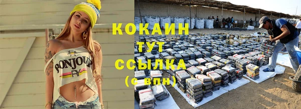 соль ск Алзамай